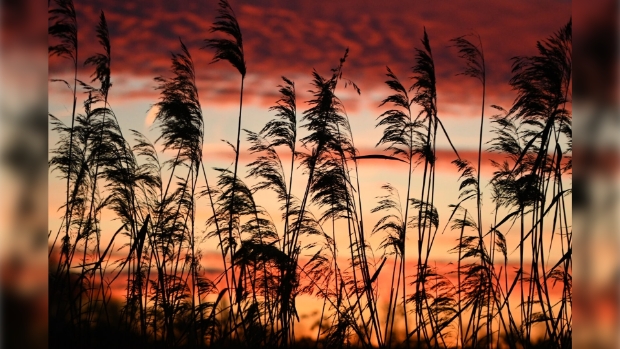 Zonsondergang Ankeveense Plassen