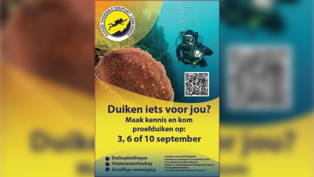 GOV-Bussum Proefduiken