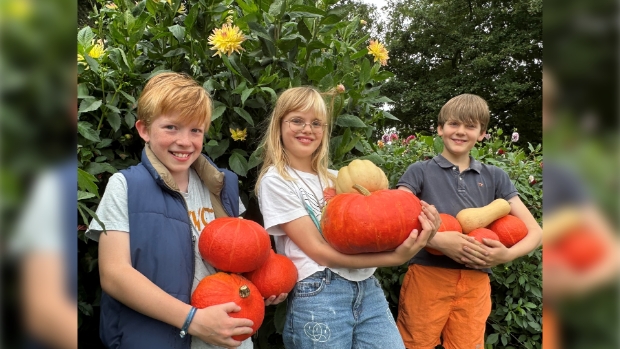 Oogsten voor de Pompoenendag