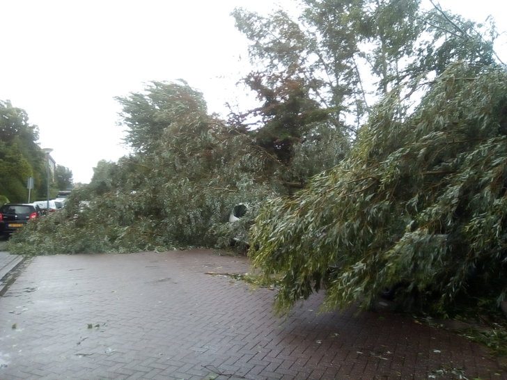 Stormschade In Weesp | Al Het Nieuws Uit Weesp