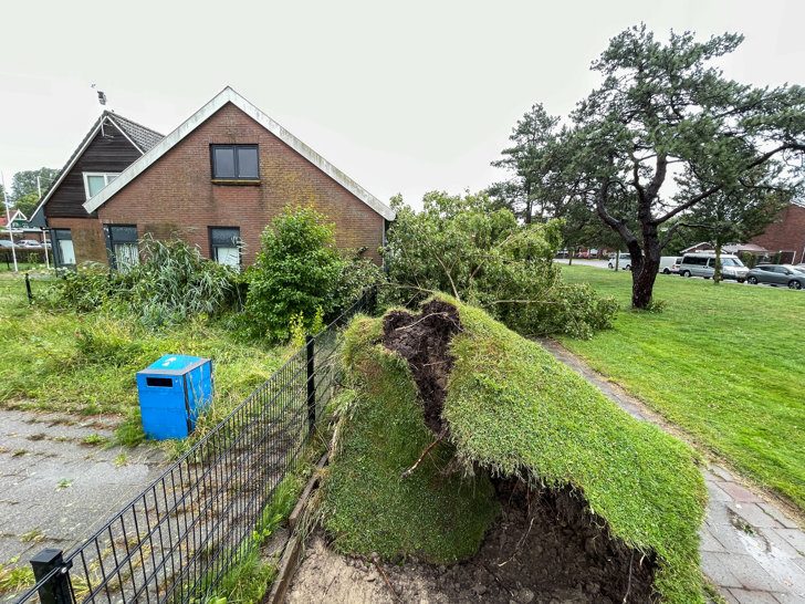 Stormschade In Weesp | Al Het Nieuws Uit Weesp