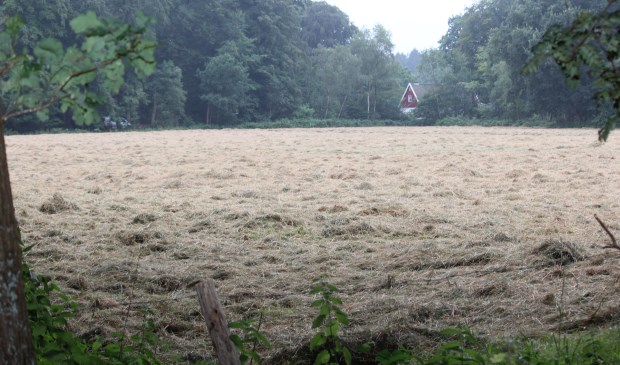 Dit weiland is de beoogde locatie voor een theehuis. Op de achtergrond de Embranchementsweg en de bebouwing Vuurseweg 1.