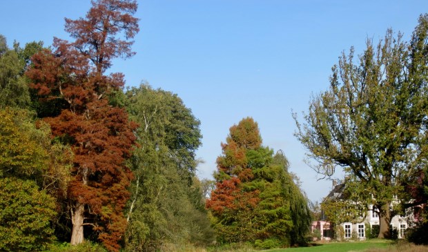 Sandwijck toont zijn herfsttooi.