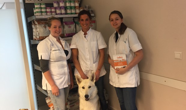Het team van Dierenkliniek Midden Nederland staat pal achter de voedingslijn van Calibra.
