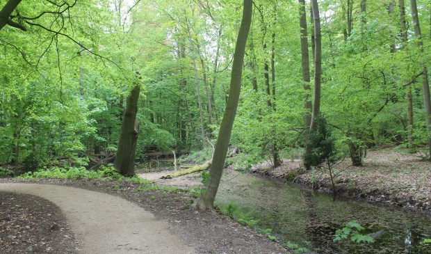 Landgoed Oostbroek is vrij toegankelijk en kent een rijke geschiedenis en waardevolle natuur.