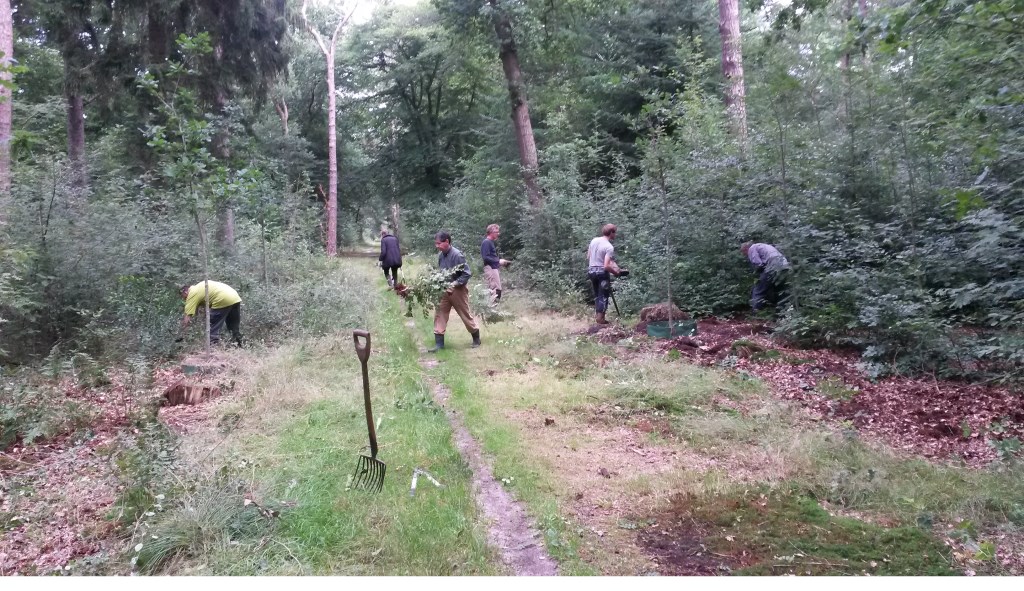 Een groep van 5 tot 7 vrijwilligers werkt op Landgoed Eyckenstein.