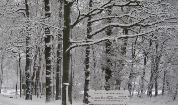 Beerschoten levert een betoverend plaatje op met sneeuw.