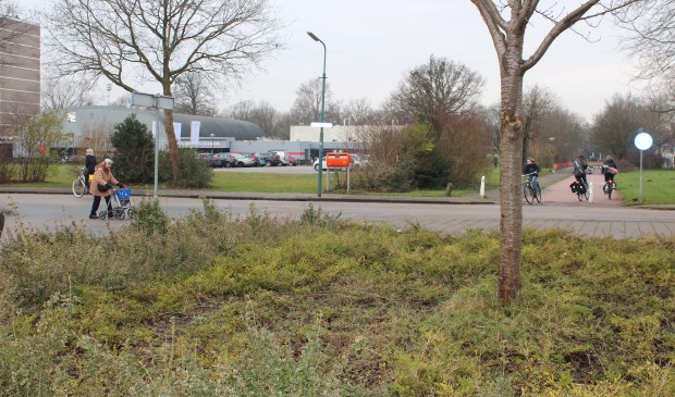 Het college ziet de woningbouwontwikkeling in relatie met de aansluiting van de Professor dr. T.M.C. Asserweg op de al aanwezige rotonde in de Biltse Rading.