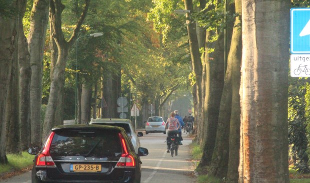 Auto's en fietsers wringen zich langs elkaar heen in het nauwe deel van de Jan Steenlaan tussen de Rembrandtlaan en de Jan van Eycklaan.