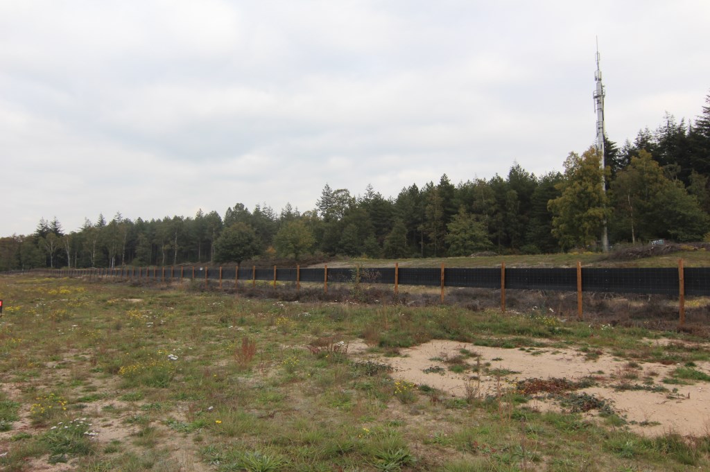 De keuze voor het specifieke groen past in de omgeving. Voor de A27 zal dit voornamelijk bestaan uit heide, jonge struiken, bomen en grotere laanbomen.