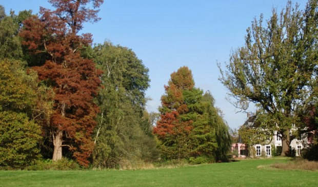 Sandwijck in herfstkleuren.