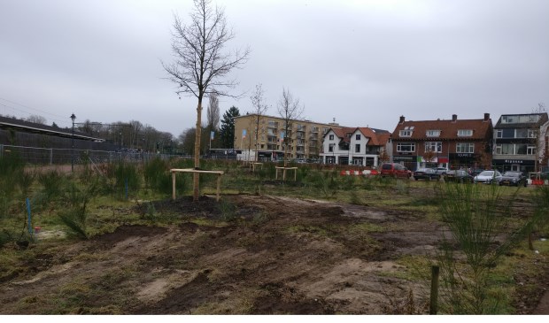 Halverwege december 2017 verhuisden Kwinkelierbomen alvast naar de Driehoek.
