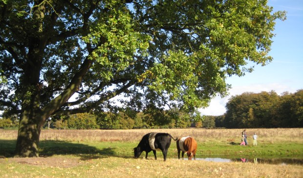 Wandelen over Houdringe geeft een inkijkje in het oude landschap.