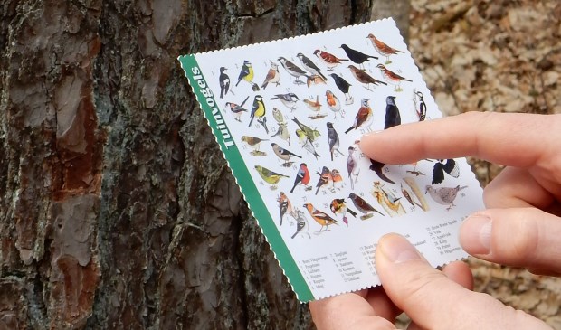 Leer de vogels van Landgoed Sandwijck (her)kennen tijdens deze vroege vogelwandeling.