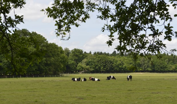 Ontdek de mooiste plekjes tijdens de Landschapswandeling.