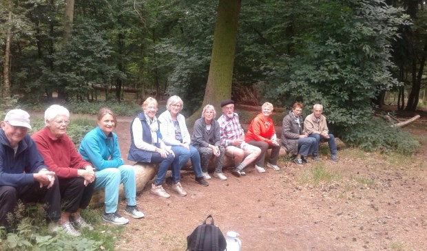 De laatste yogales van het seizoen in het bos.