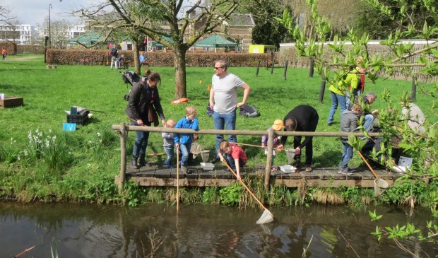 Op zoek naar waterdiertjes in de sloot.