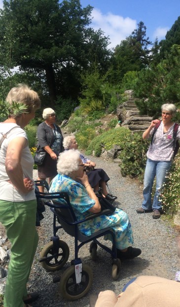 Bezoek aan de botanische tuinen in Utrecht.