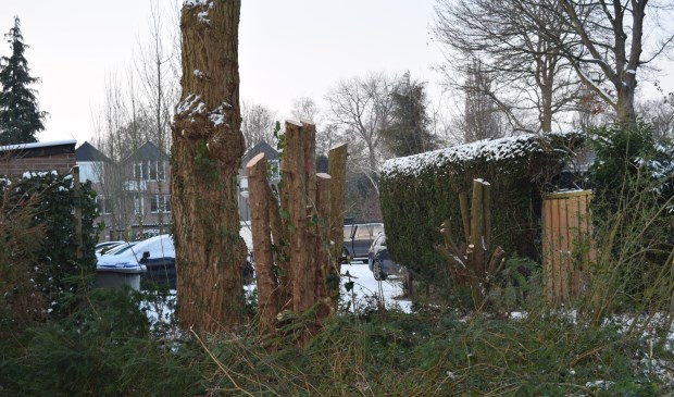 Kaalslag op de Iepenlaan.