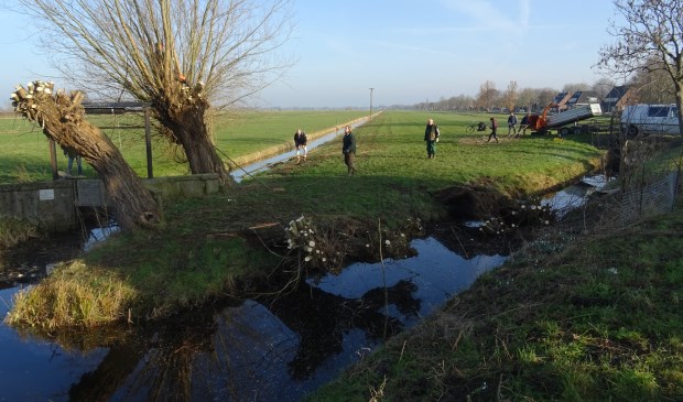 Leden van Het Groenekans Landschap zijn druk met het onderhoud van de wilgen.