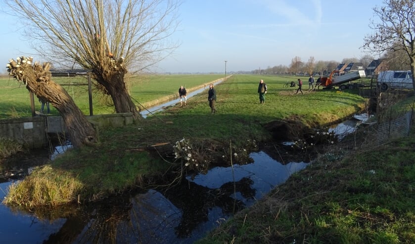 Leden van Het Groenekans Landschap zijn druk met het onderhoud van de wilgen.