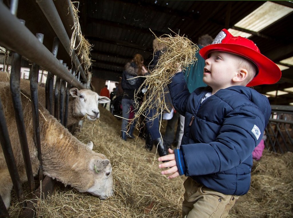 Jong en oud is welkom op de lammetjesdag.