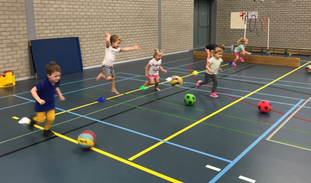 Lekker rennen, springen en achter de bal aan. Plezier voor twee.