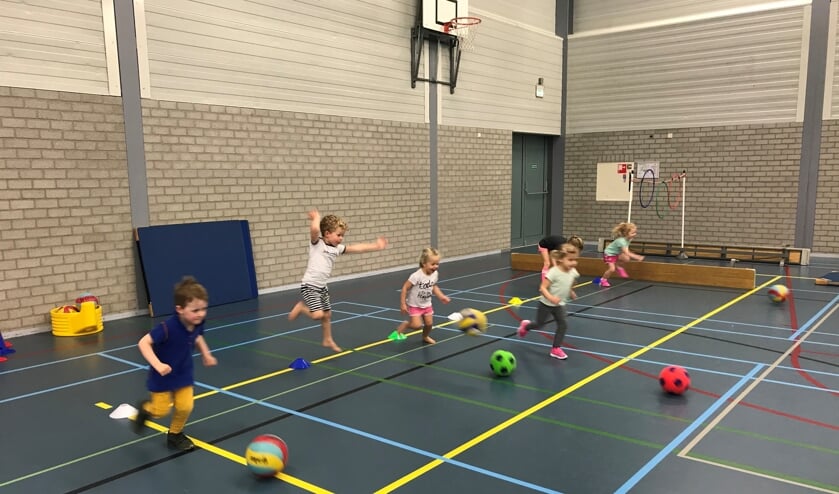 Lekker rennen, springen en achter de bal aan. Plezier voor twee.