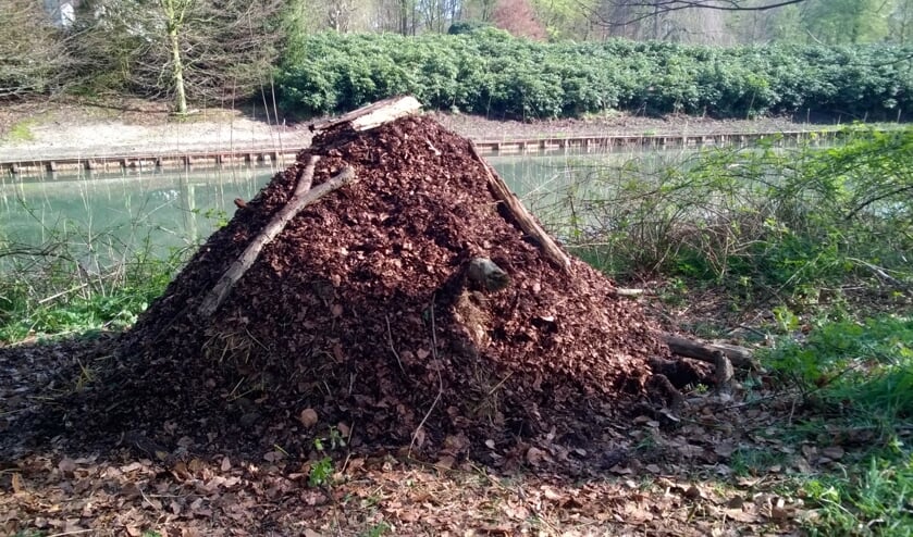 In de broeihoop zijn wellicht