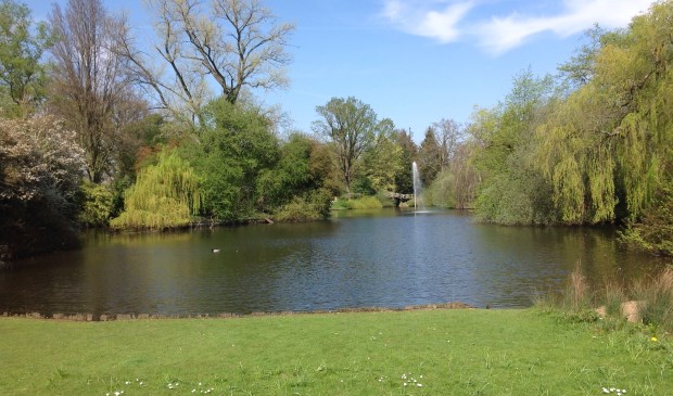 Bomen en een waterpartij in het Van Boetzelaerspark. (foto Jaap Milius)