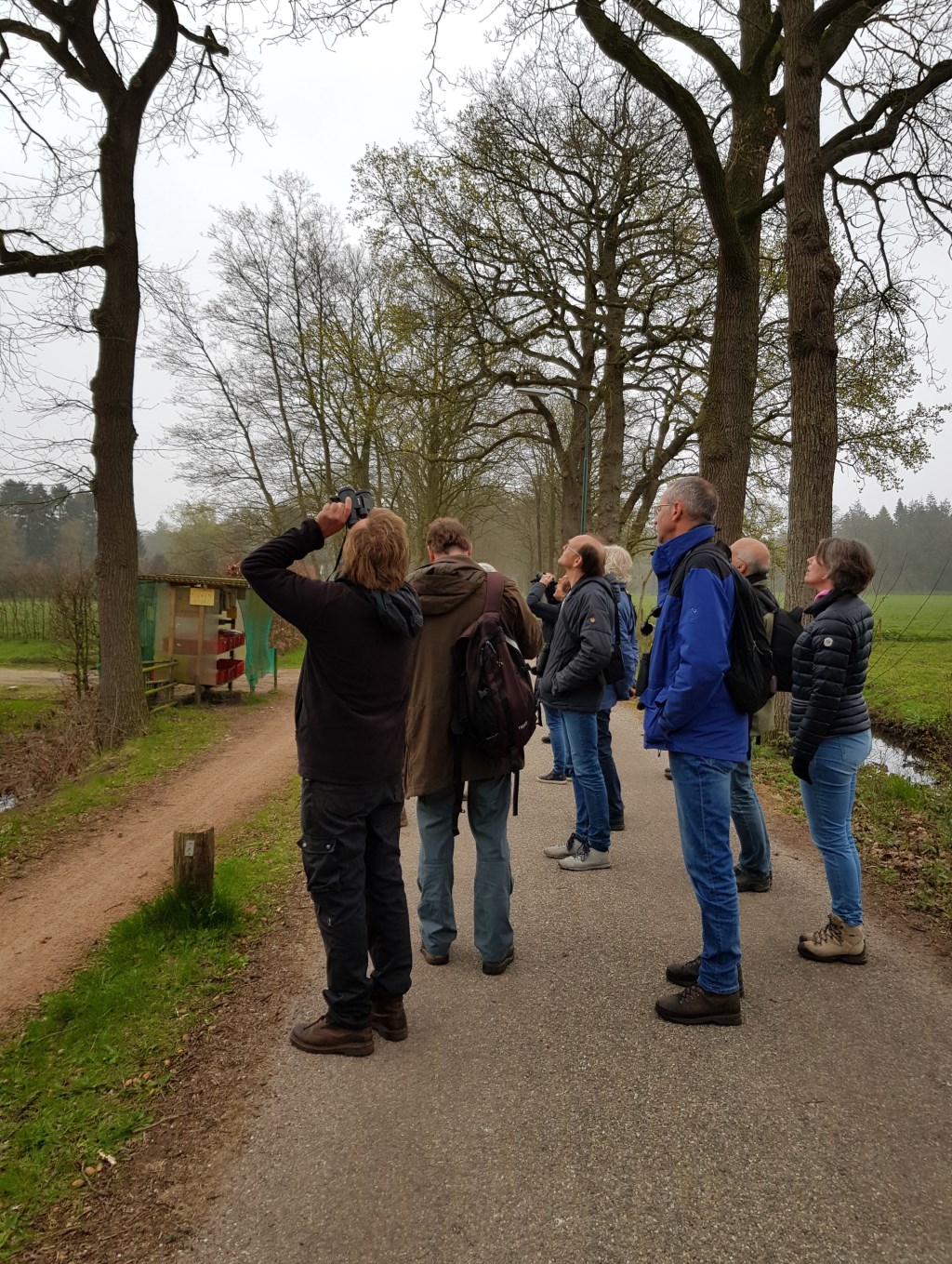 Bij het krieken van de dag vogels kijken op de Eikensteeg in Maartensdijk