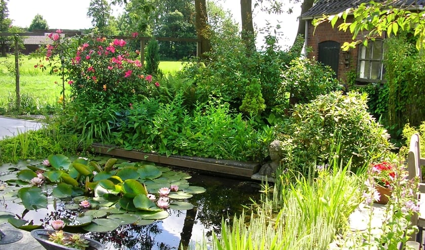 Neem een kijkje in de tuin van een ander.