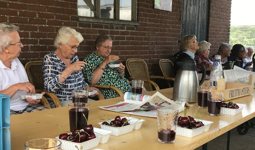 Zonnebloemgasten genieten van vers geplukte kersen.