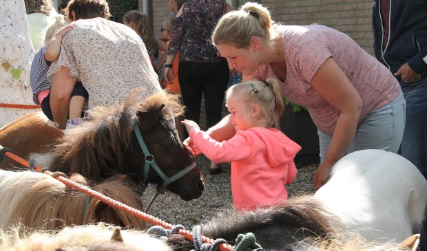 • Pony's en paarden zijn onlosmakelijk verbonden met de jaarlijkse markt in Alblasserdam.