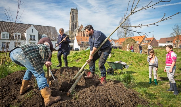 • Dit voorjaar werd de Torentuin grotendeels ontmanteld. Na de woningbouw komt een kleinere variant terug.
