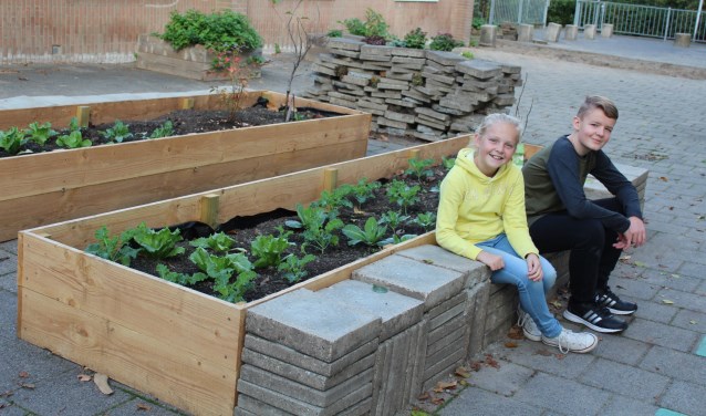 • Natuurplein van basisschool Het Schateiland in Lekkerkerk.