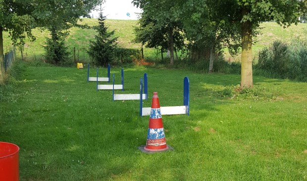 • Het Flyball parcours bij de VVHP.