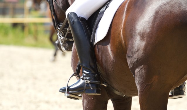 Dressage horse and a rider