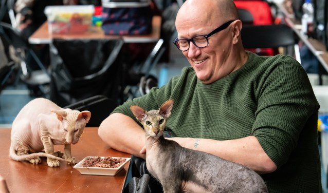 Cats & Tulips in Asperen
