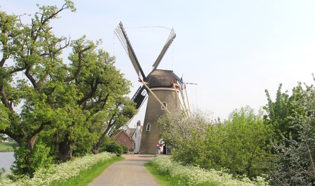 • Molen De Vrijheid aan de Molendijk 14 in Beesd.
