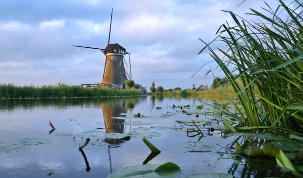 • De winnende foto van Tanja Hensing-Molendijk.
