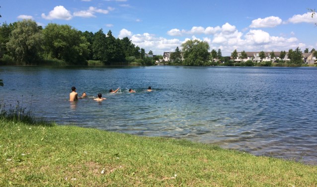 • De Tijningenplas wordt geschikt gemaakt als officieel zwemwater. Honden mogen er in de toekomst niet meer in zwemmen.