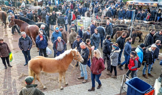 Hedelse Paardenmarkt