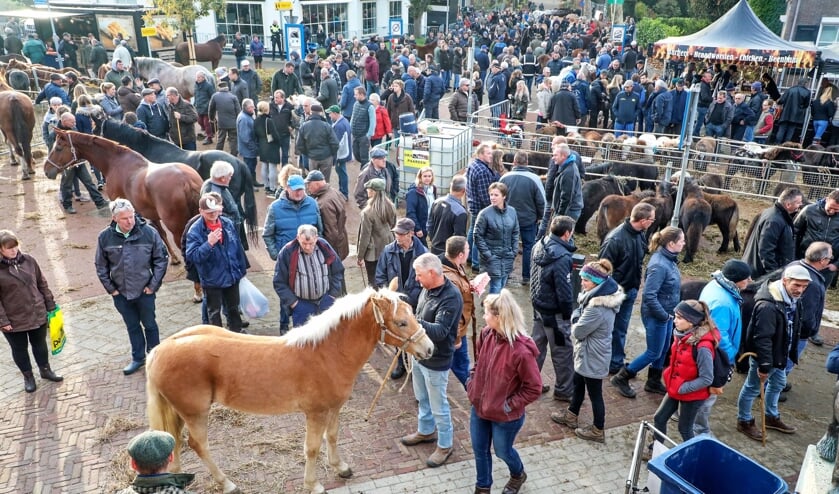 Hedelse Paardenmarkt
