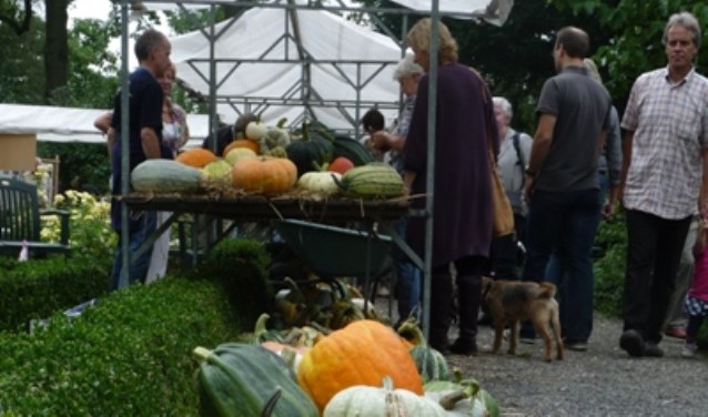 • De kasteeltuin is vooral bekend van de pompoenenmarkt.