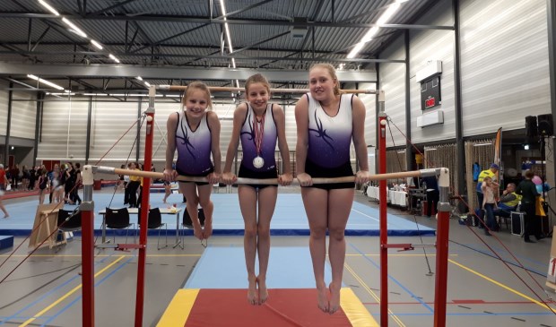 turnvereniging rijswijk