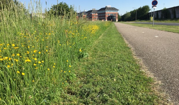 • De gemeente Zaltbommel maait de eerste meter berm, maar dan alleen langs de wegen waarvoor de gemeente verantwoordelijk is.