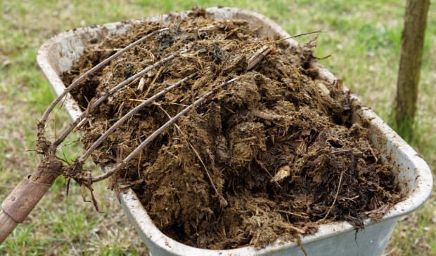 • Doordat regenwater van de mesthoop liep, kwamen meststoffen in de sloot terecht.