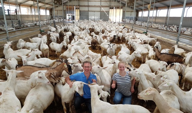 Oscar Combee en Berdine den Hartog in de stal met 650 geiten.