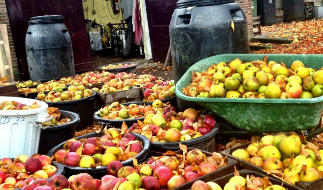 • De stokerij gebruikt het beste fruit uit de Betuwe.